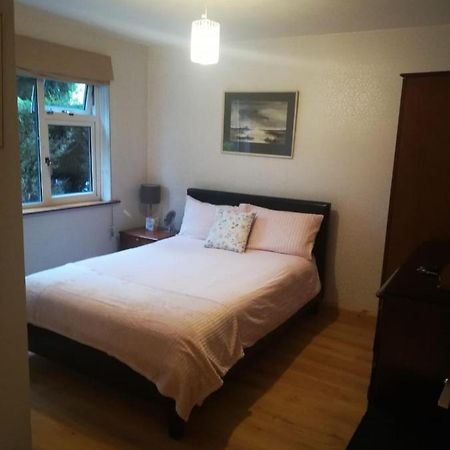 Cosy Apartment Holywood  Eksteriør billede